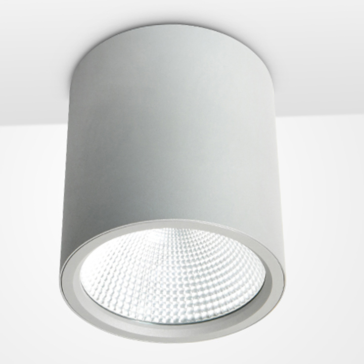 Surface-Mounted Downlights